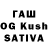 Псилоцибиновые грибы Magic Shrooms Narusa 1337
