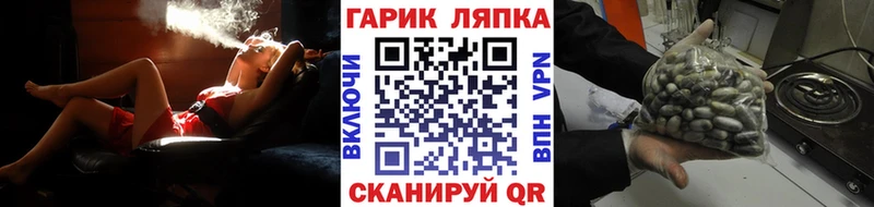 ГАШ VHQ Невинномысск