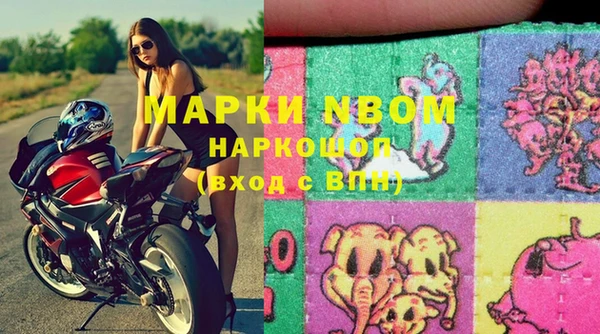гашик Арсеньев