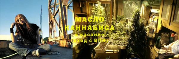 гашик Арсеньев