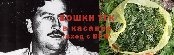 гашик Арсеньев