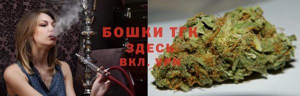 крисы Аркадак
